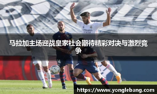 星空·综合体育官方网站