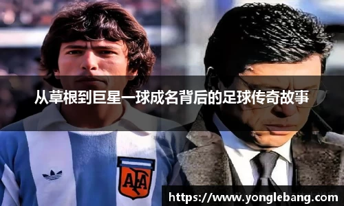 星空·综合体育官方网站